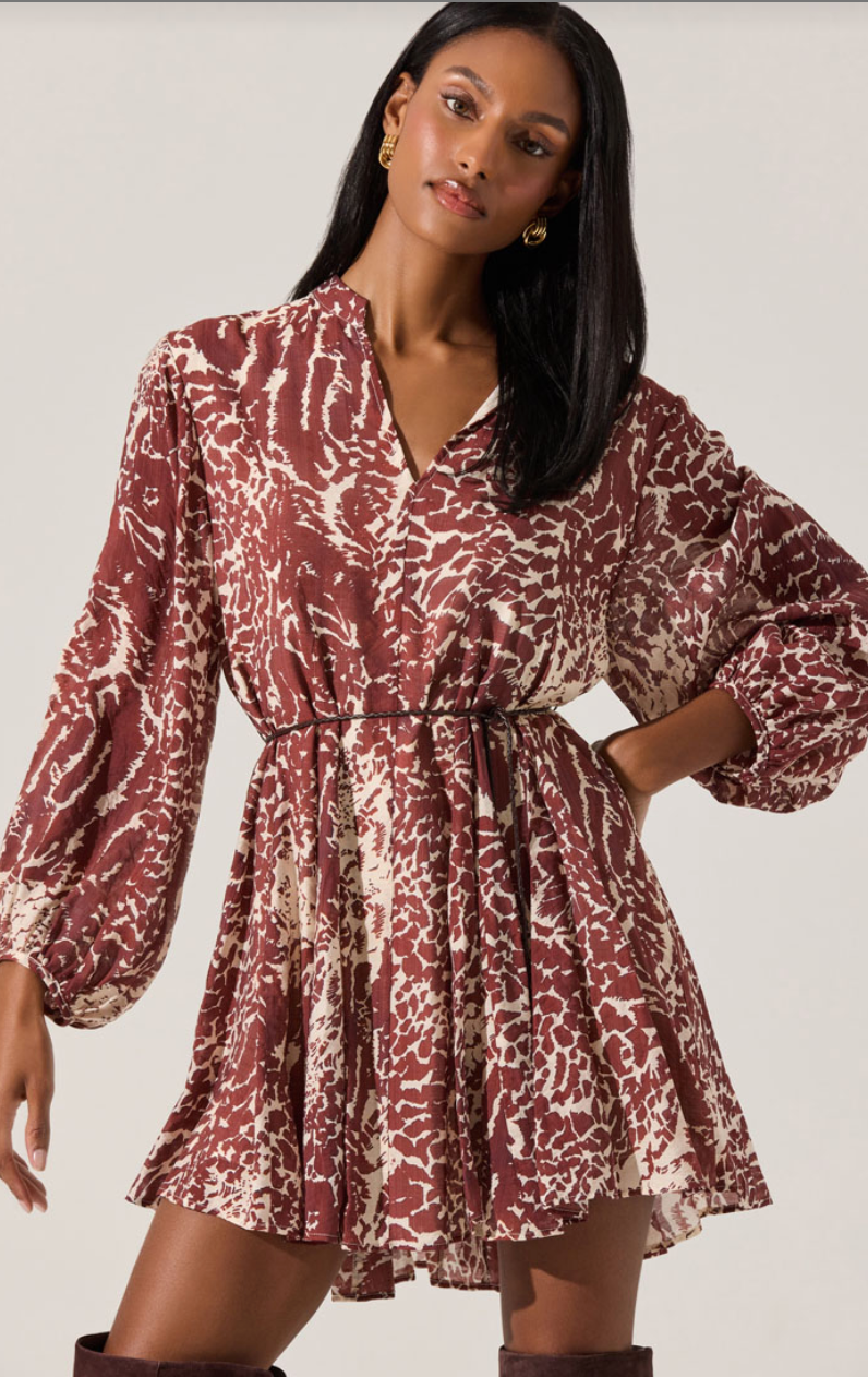 Marisela Belted V-Neck Mini Dress