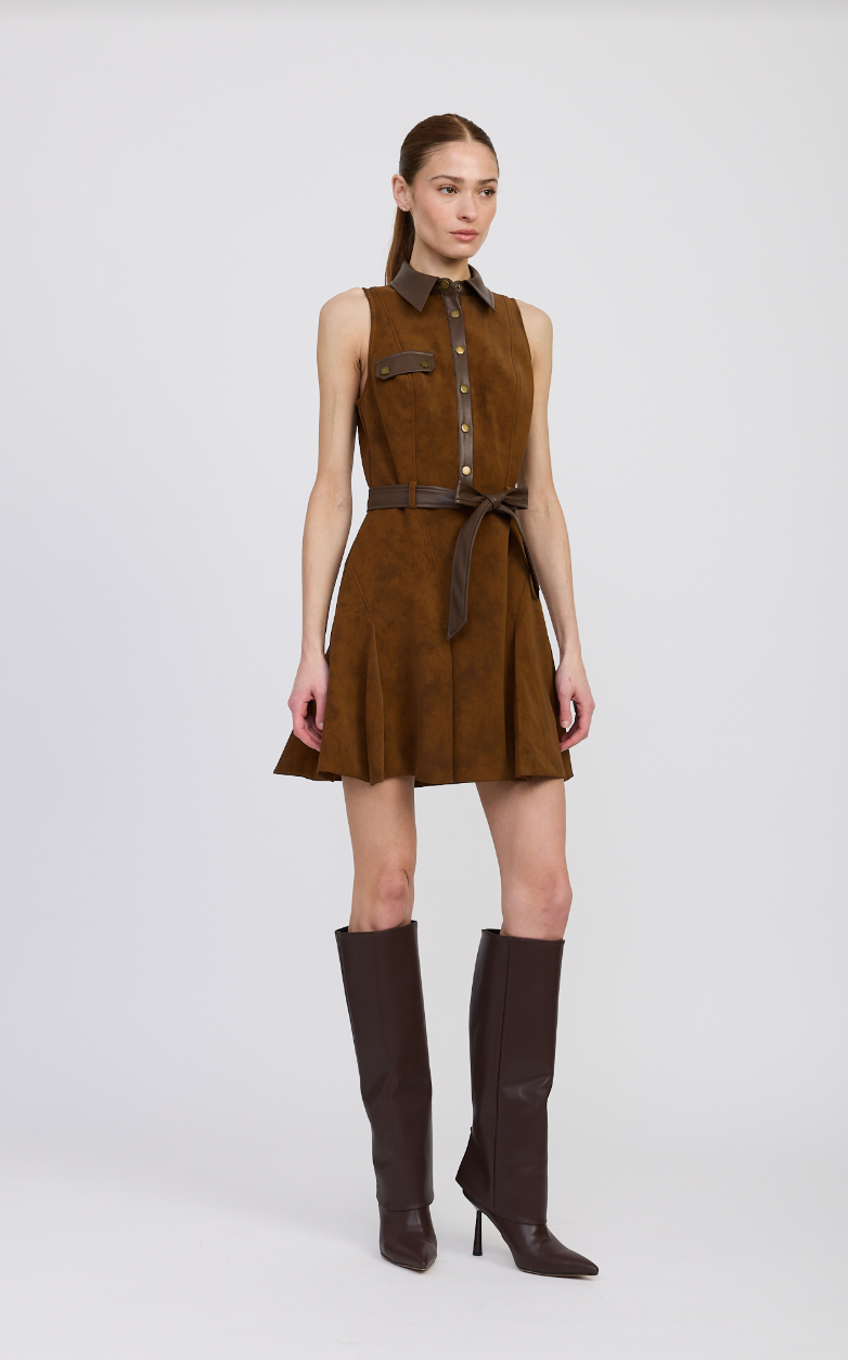 Eloise Mini Dress