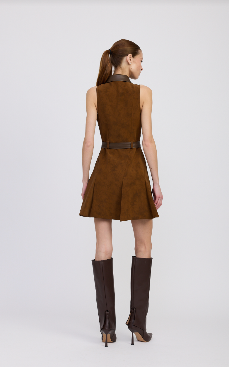 Eloise Mini Dress