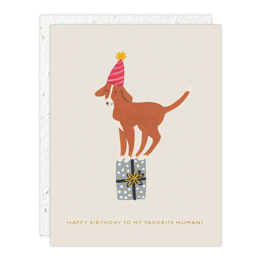 Birthday Dog Birthday Card
