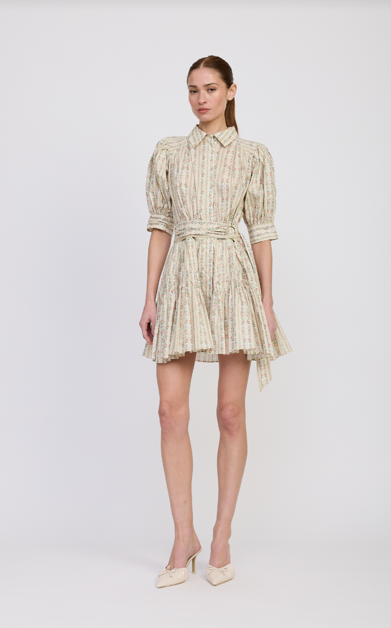 Rosalia Mini Dress