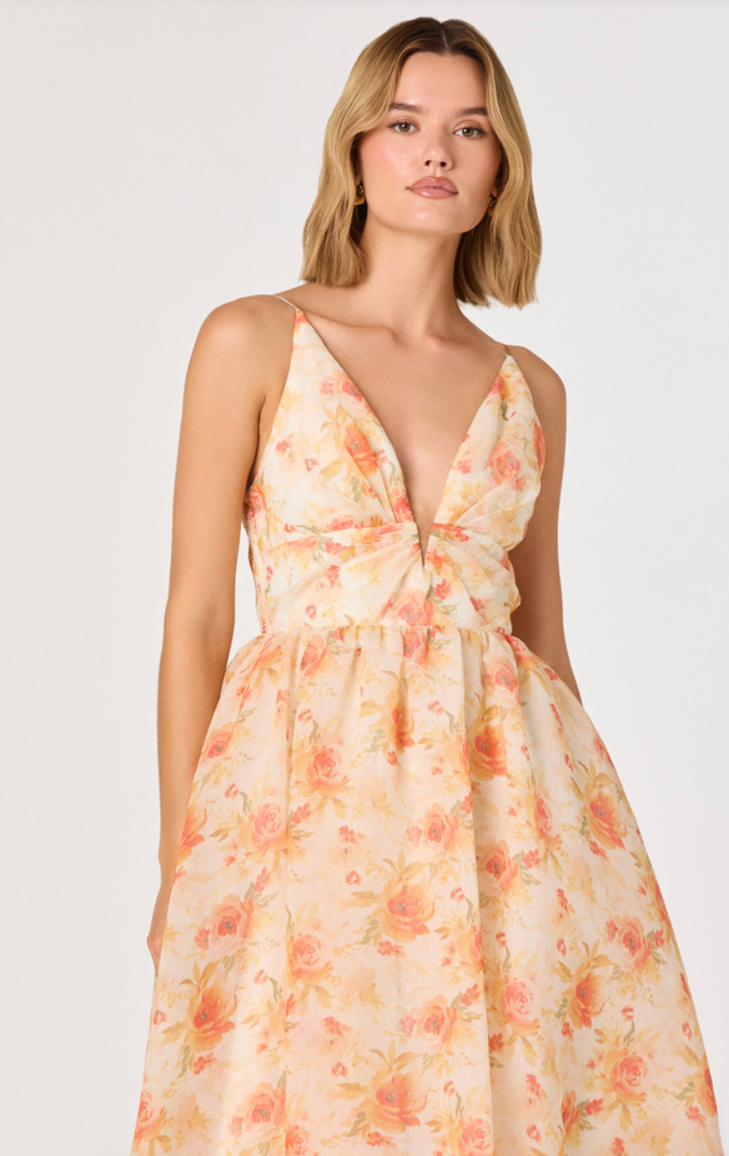 Janna Dress