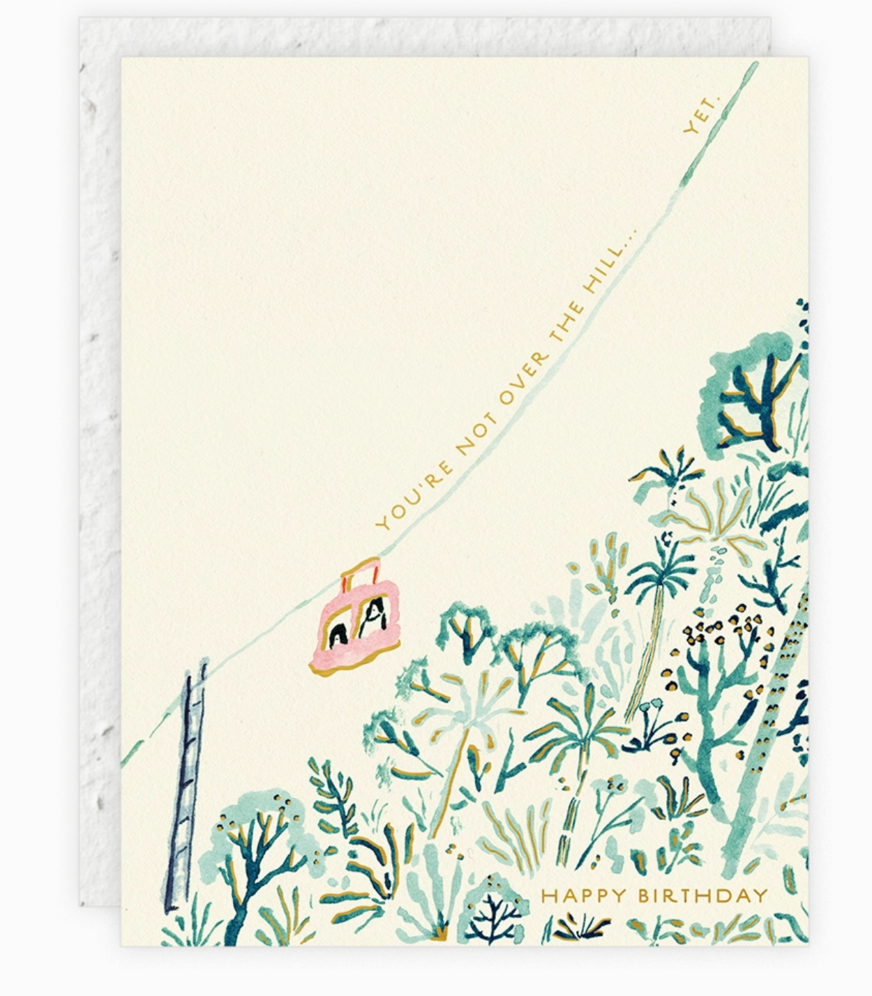Over the Hill - Birthday Card