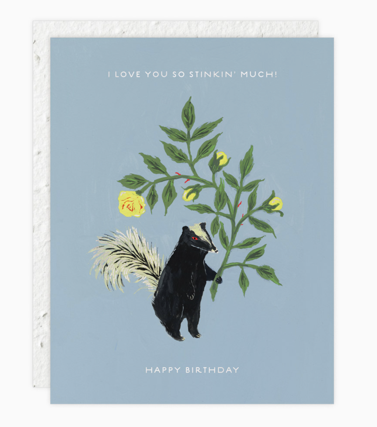 Stinker - Birthday Card