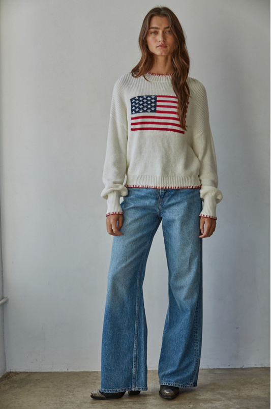 Knit Sweater Crew American Flag Pullover