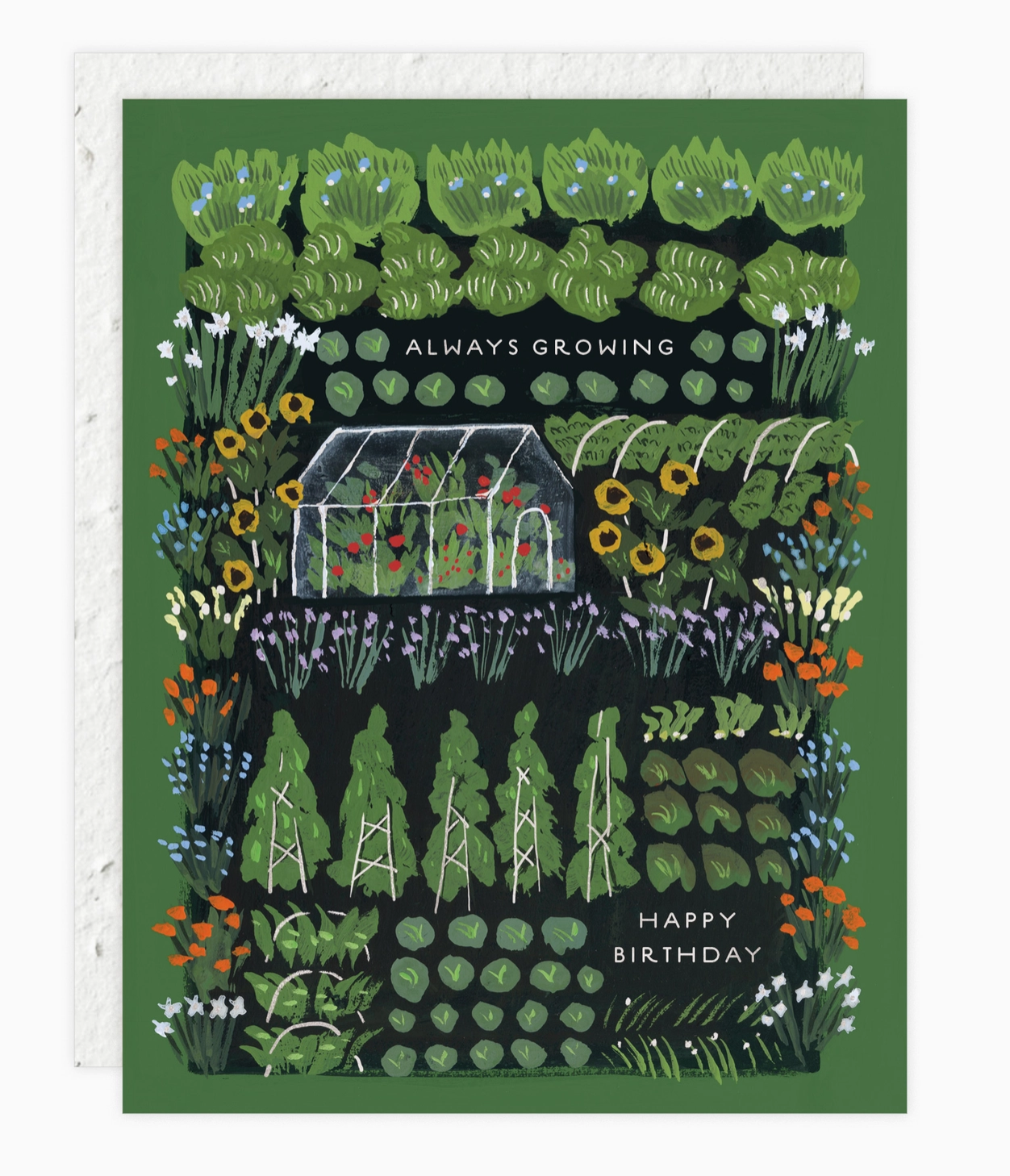 Garden Greenhouse - Birthday Card