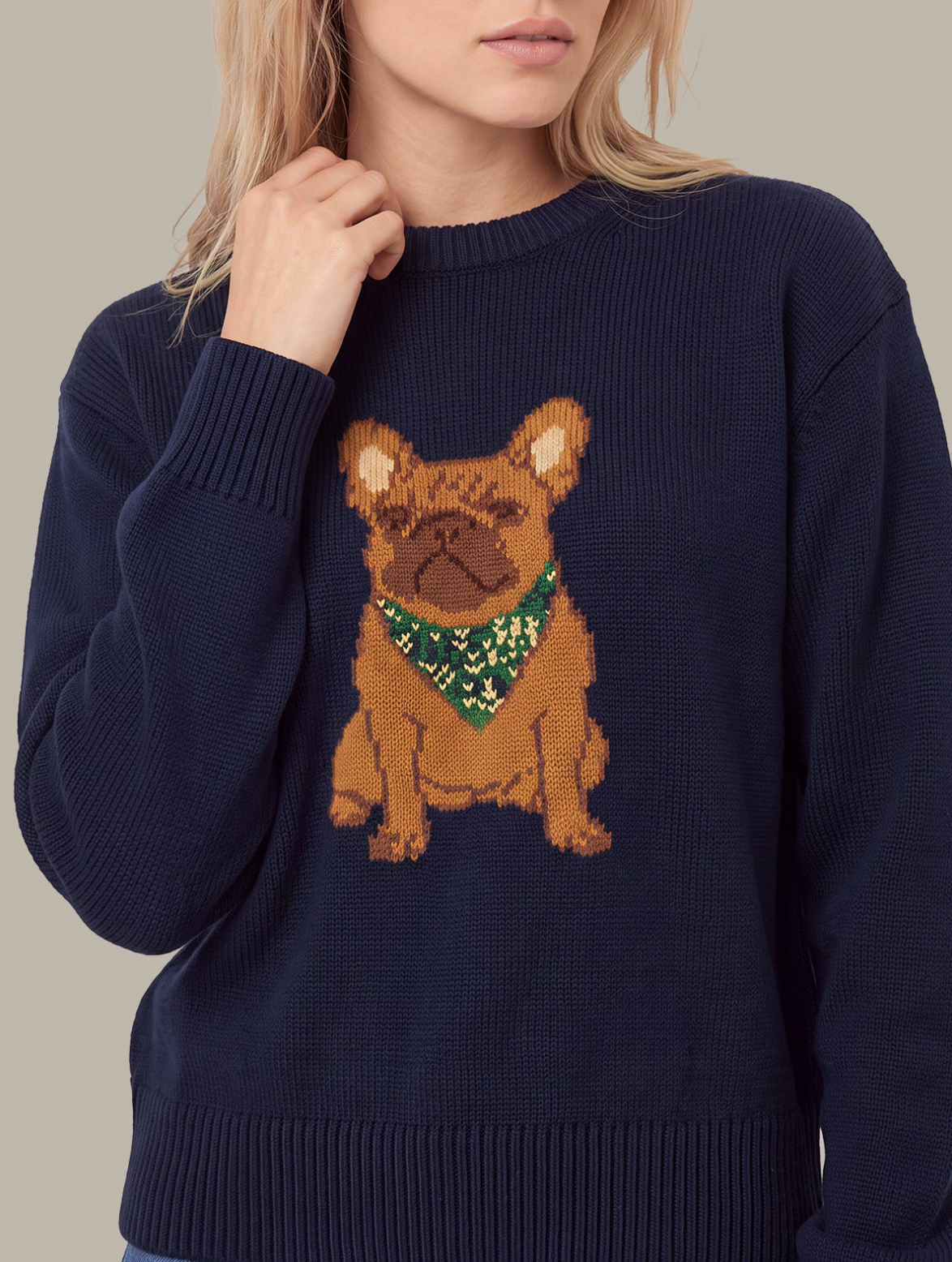 SYDNEY DOG WITH BANDANA SWEATER